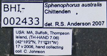 Media type: image;   Entomology 603339 Aspect: labels